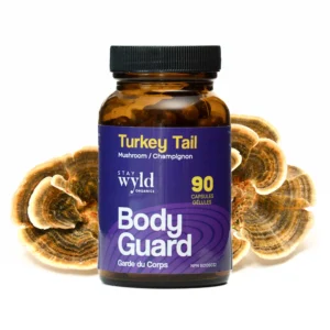 Stay Wyld Organics - Turkey Tail Mushroom Capsules (Fles van 90)